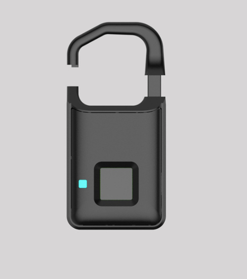 Little fingerprint padlock