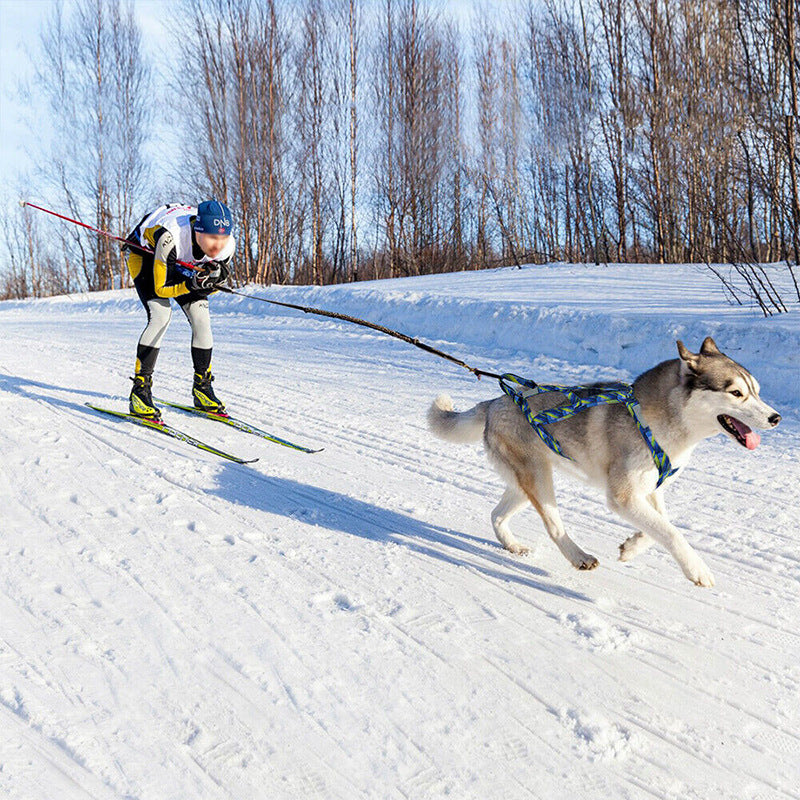 Dog Sled Chest Strap Hand Holding Rope